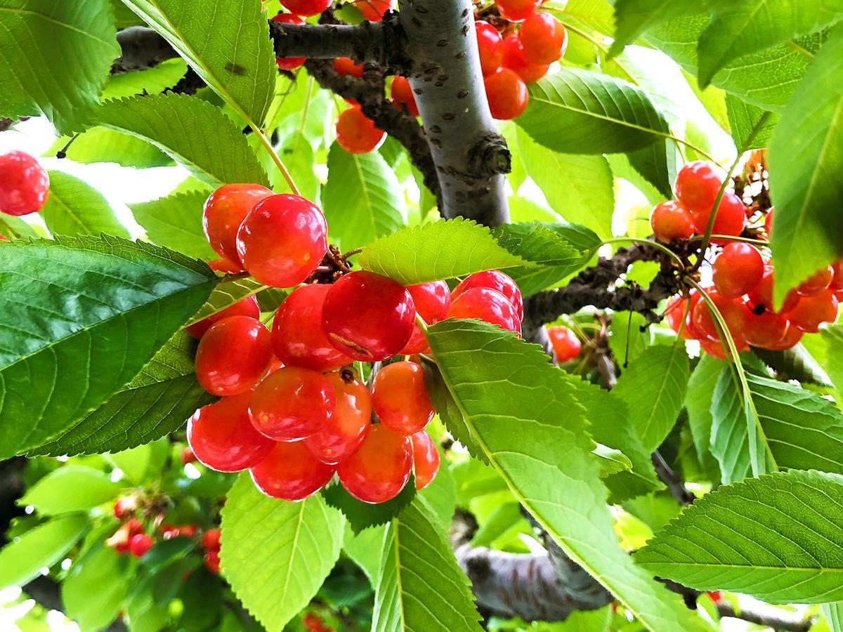 فندق يونيزاوافي  Nishiya المظهر الخارجي الصورة
